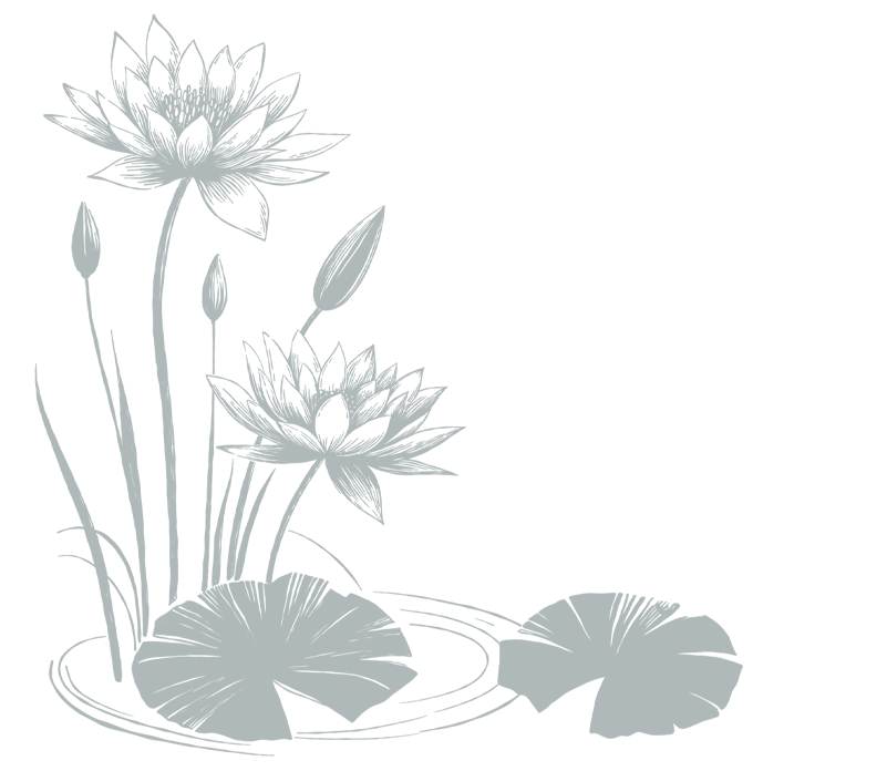 lotus pad graphic cassandra